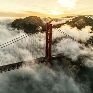 Meet your Posher, Selena